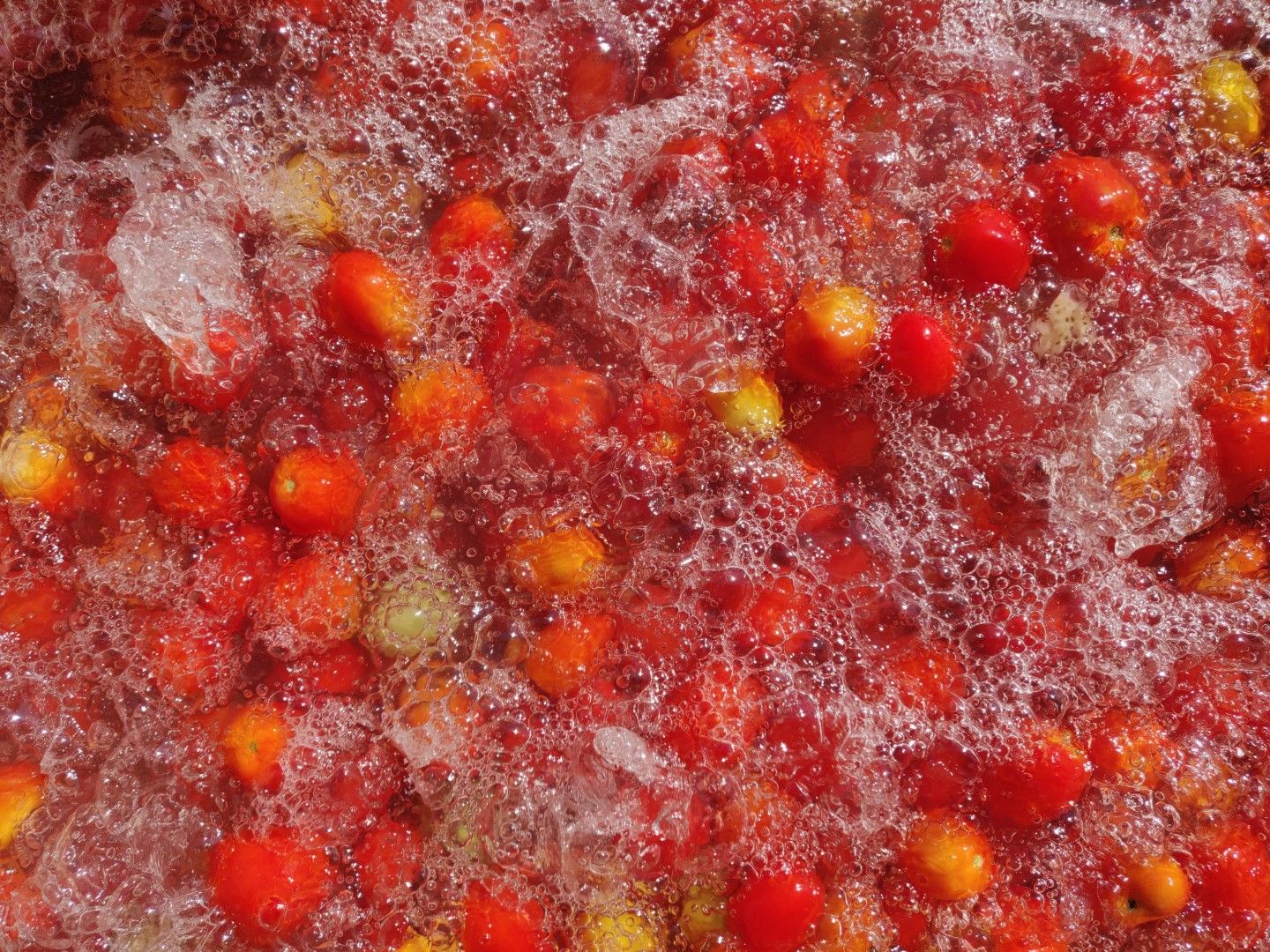 Tomatenwasserbecken, waschen der Früchte nach der Ernte, Orto d´Autore