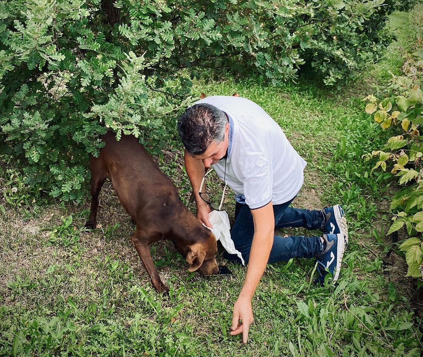 Trüffelsucher Toni beim Trüffelsuchen mit seinem Trüffelhund